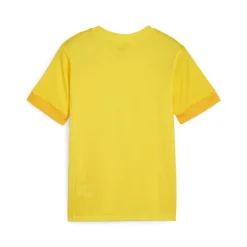 PUMA teamGOAL Matchday Voetbalshirt Kids Geel Zwart