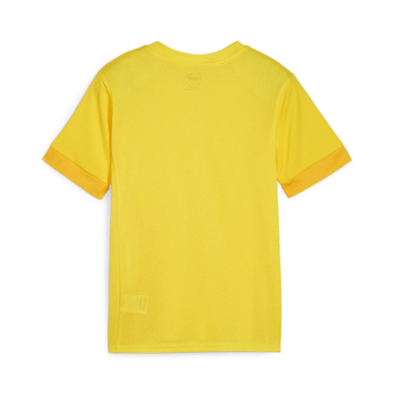 PUMA teamGOAL Matchday Voetbalshirt Kids Geel Zwart