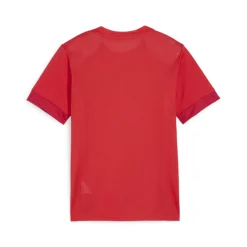 PUMA teamGOAL Matchday Voetbalshirt Kids Rood Wit