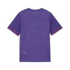 PUMA teamGOAL Matchday Voetbalshirt Kids Paars Wit