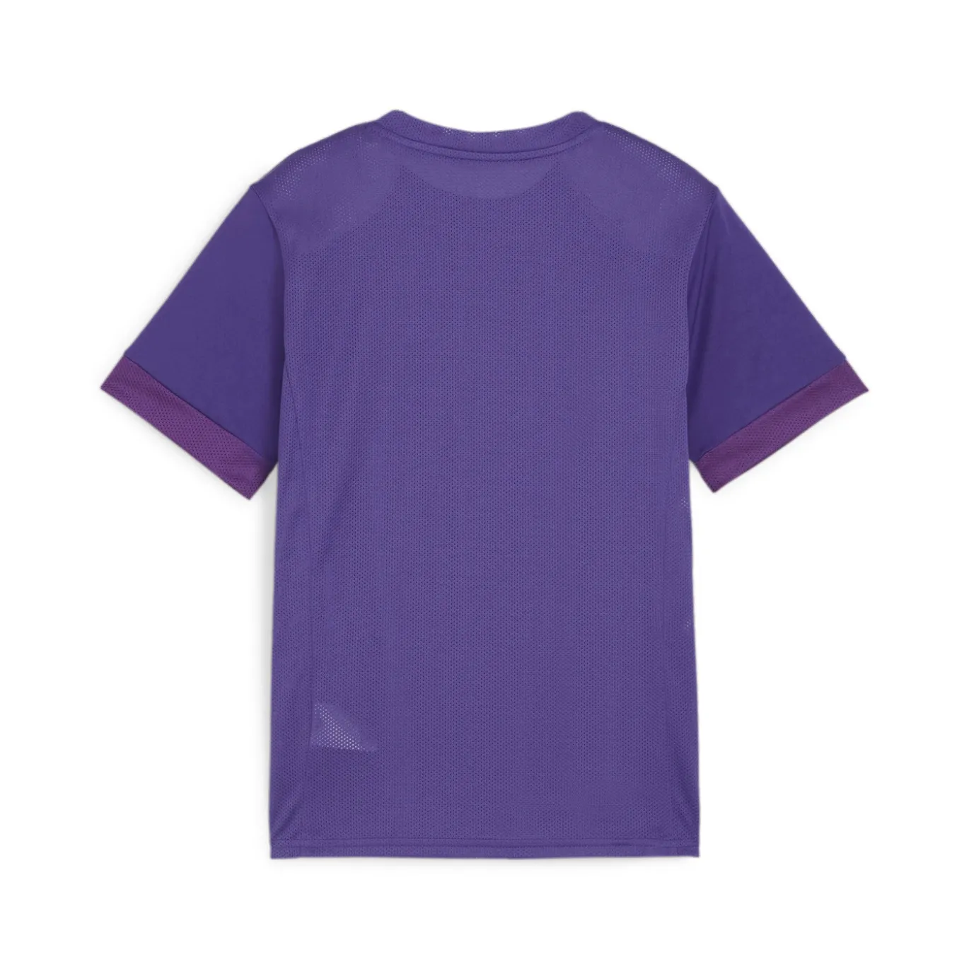 PUMA teamGOAL Matchday Voetbalshirt Kids Paars Wit