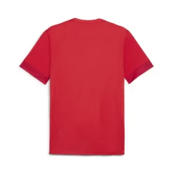 PUMA teamGOAL Matchday Voetbalshirt Rood Wit