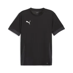 PUMA teamGOAL Matchday Voetbalshirt Zwart Wit Grijs