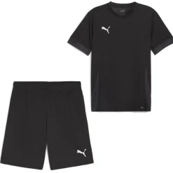 PUMA teamGOAL Matchday Voetbaltenue Zwart Wit
