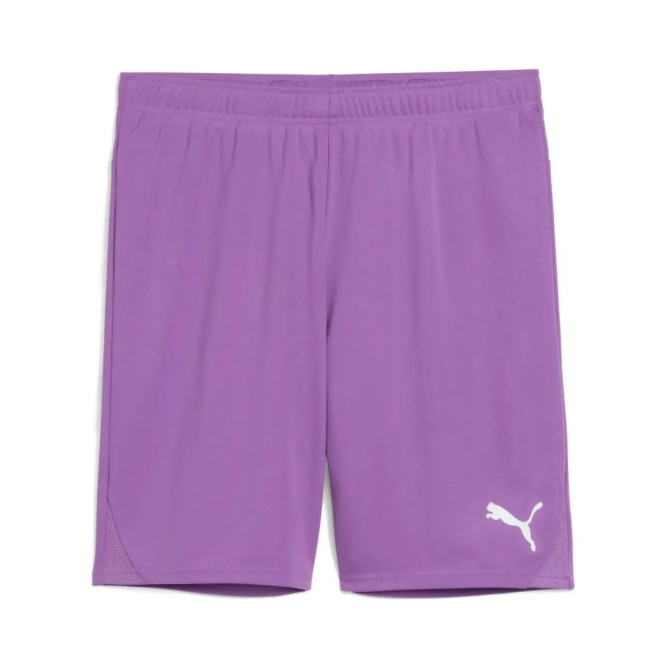 PUMA teamGOAL Voetbalbroekje Paars
