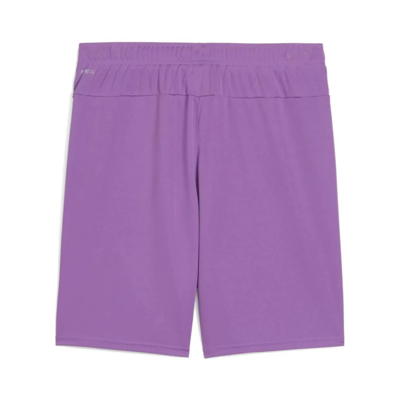PUMA teamGOAL Voetbalbroekje Paars
