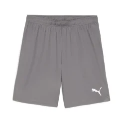 PUMA teamGOAL Voetbalbroekje Grijs Wit