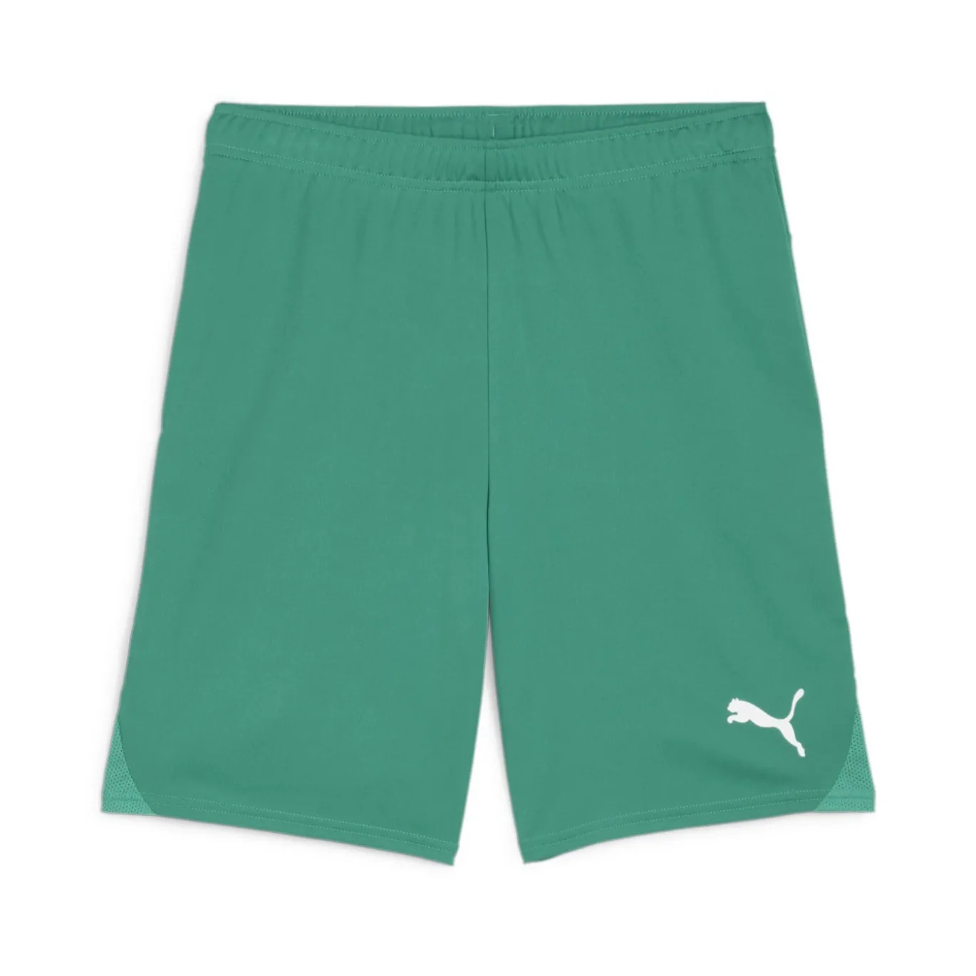PUMA teamGOAL Voetbalbroekje Groen Wit