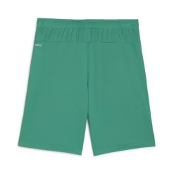 PUMA teamGOAL Voetbalbroekje Groen Wit