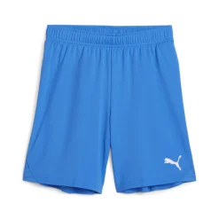 PUMA teamGOAL Voetbalbroekje Kids Blauw Wit