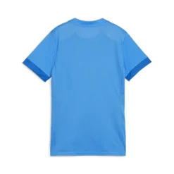 PUMA teamGOAL Voetbalshirt Dames Blauw Wit