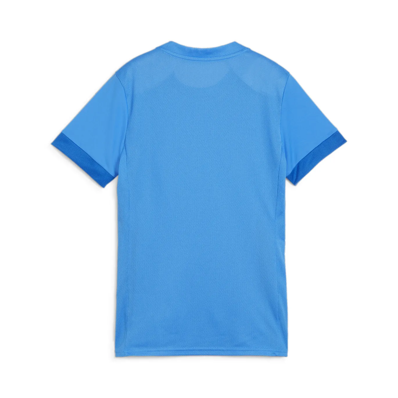PUMA teamGOAL Voetbalshirt Dames Blauw Wit