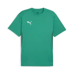 PUMA teamGOAL Voetbalshirt Groen Wit