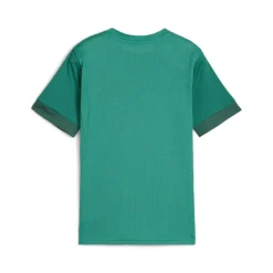PUMA teamGOAL Voetbalshirt Kids Groen Wit