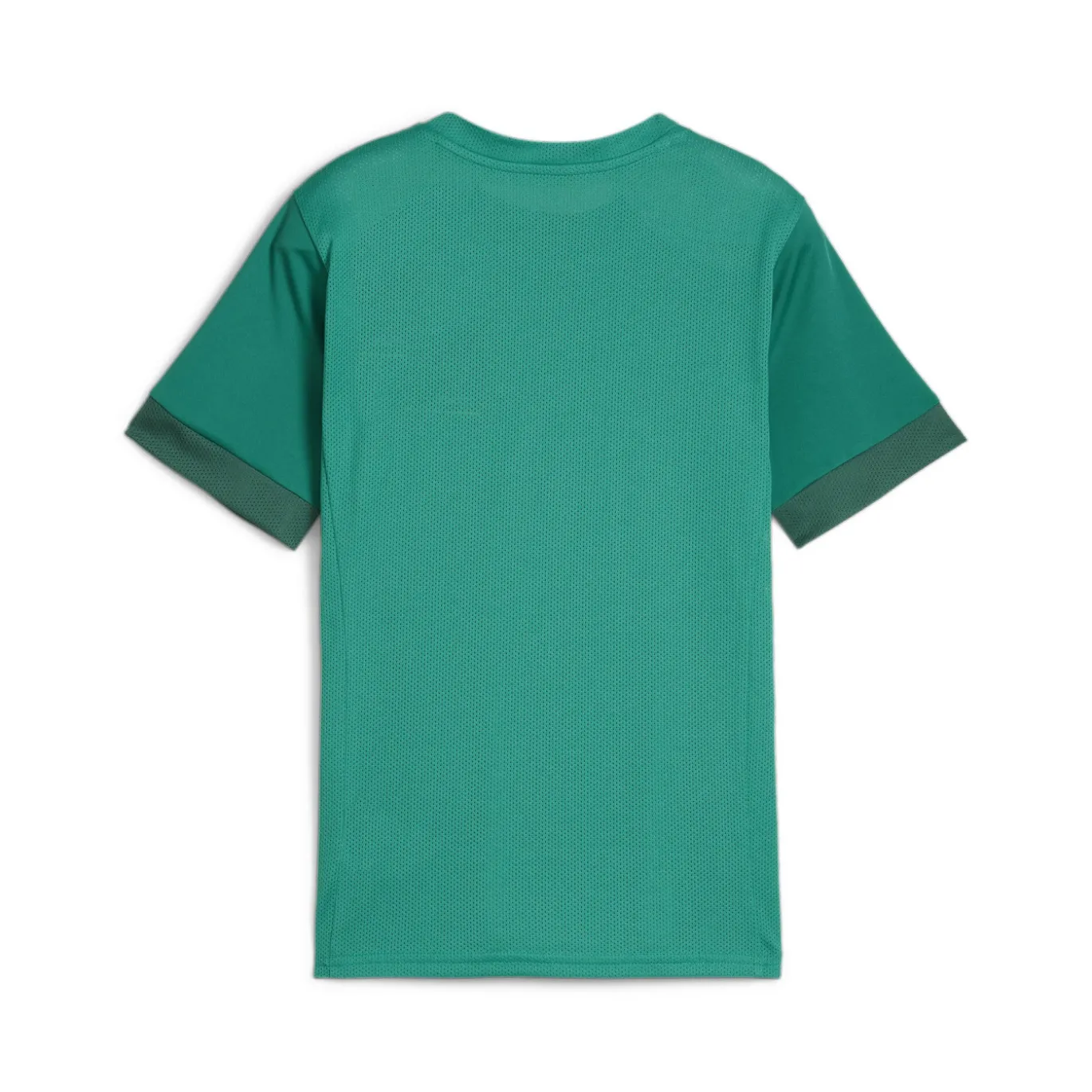 PUMA teamGOAL Voetbalshirt Kids Groen Wit
