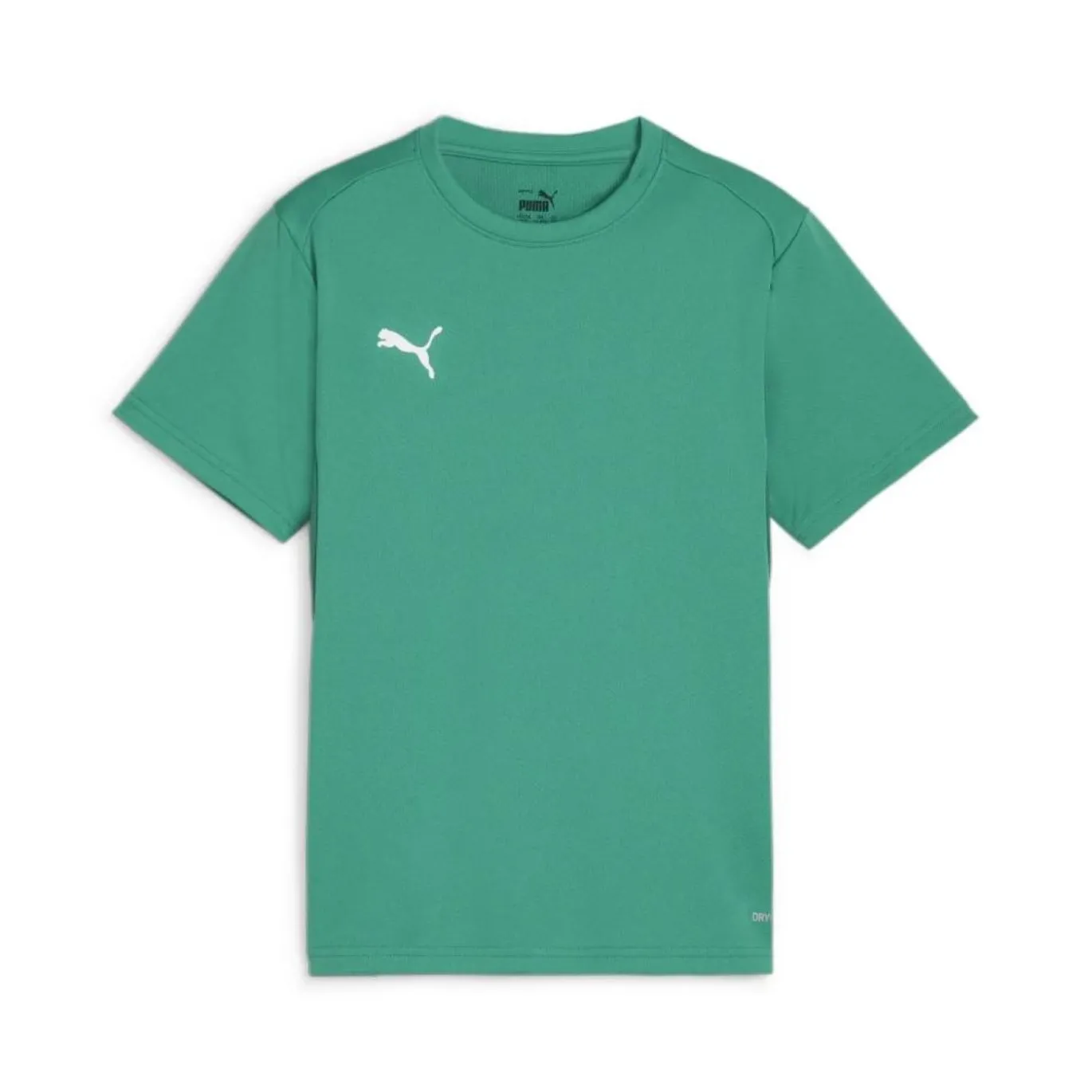 PUMA teamGOALVoetbalshirt Kids Groen
