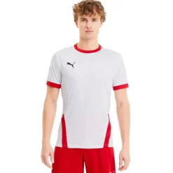 PUMA teamGOAL 23 Voetbalshirt Wit Rood