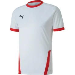 PUMA teamGOAL 23 Voetbalshirt Wit Rood