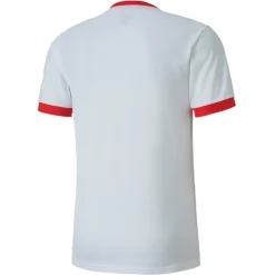 PUMA teamGOAL 23 Voetbalshirt Wit Rood