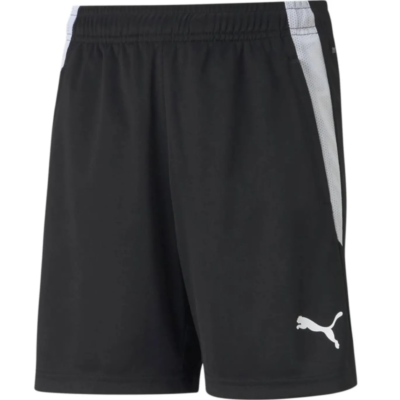 PUMA TeamLIGA Trainingsbroekje Kids Zwart Wit