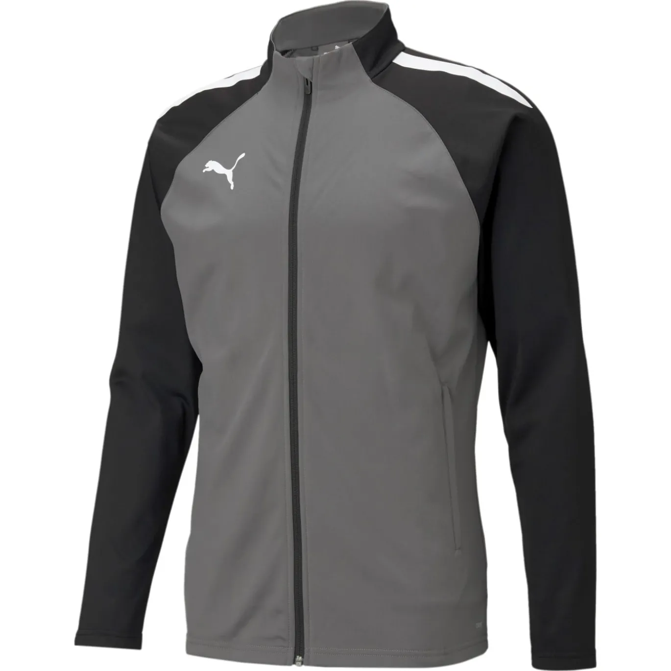 PUMA teamLIGA Trainingsjack Grijs Wit