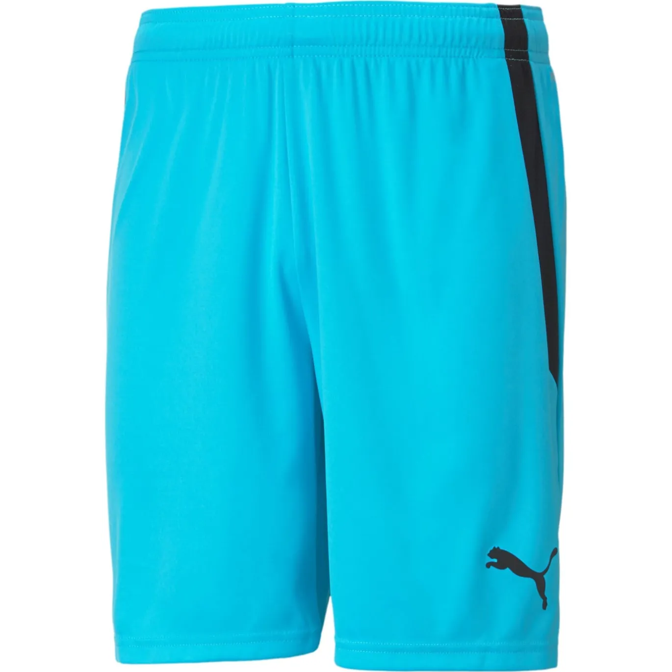 PUMA teamLIGA Voetbalbroekje Felblauw Zwart