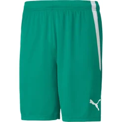 PUMA teamLIGA Voetbalbroekje Groen Wit