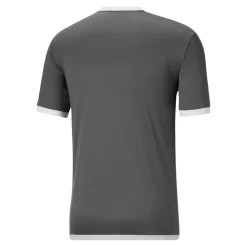 PUMA teamLIGA Voetbalshirt Grijs Wit