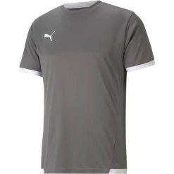 PUMA teamLIGA Voetbalshirt Grijs Wit