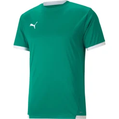 PUMA teamLIGA Voetbalshirt Groen Wit