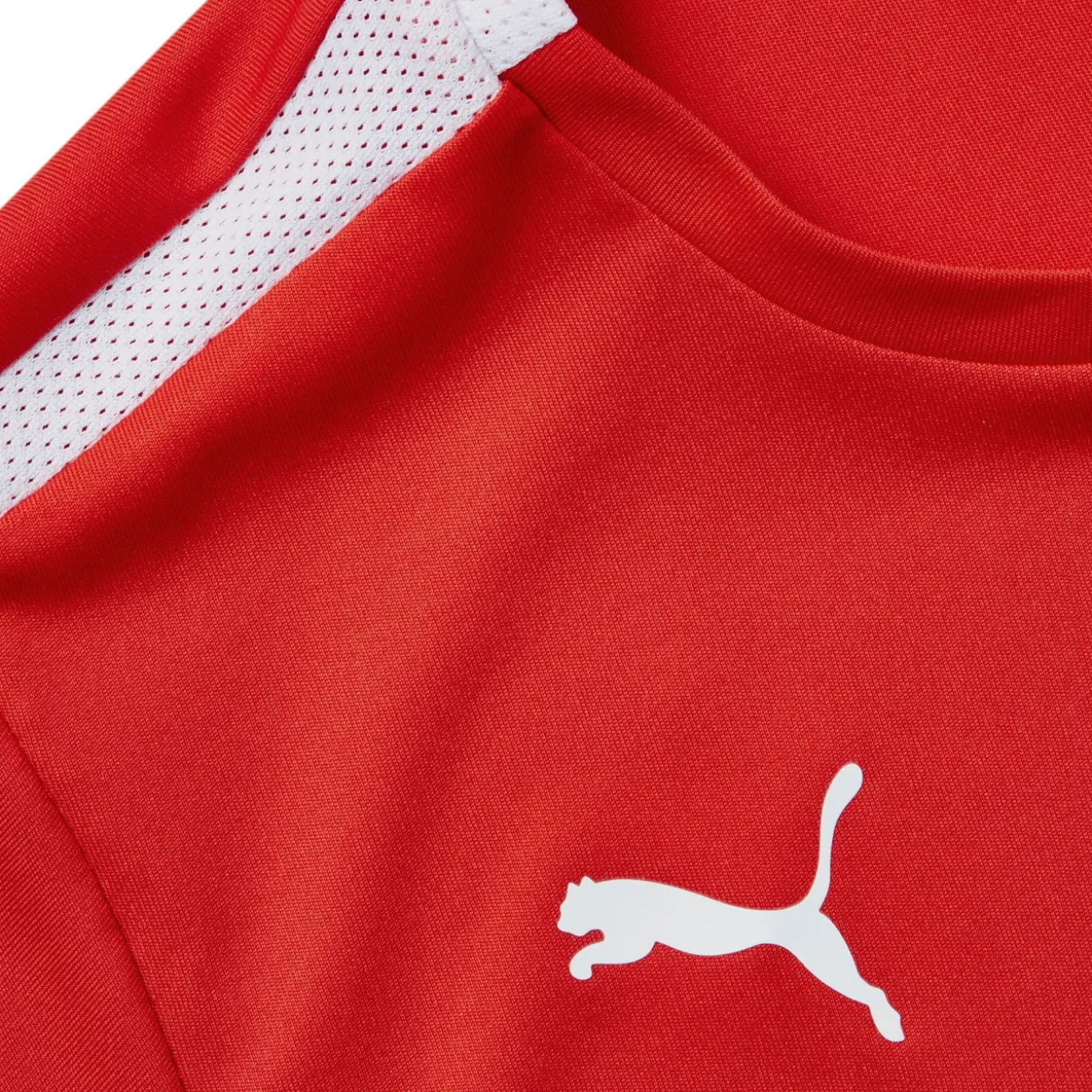 PUMA teamLIGA Voetbalshirt Kids Rood Wit