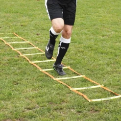 Sportec trainingsladder prof 6M