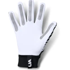 Under Armour Handschoenen 2.0 Zwart Wit Wit